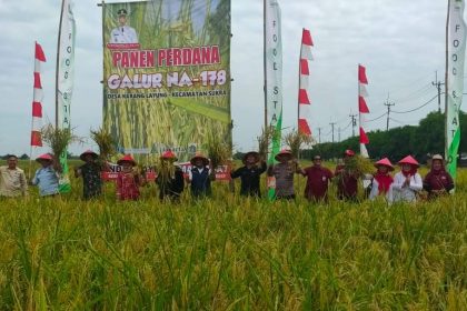 C:\Users\ACER\Downloads\WhatsApp Image 2023-02-08 at 13.14.33.jpeg