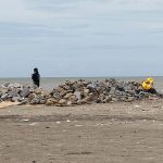 proyek jetty cibuaya karawang,